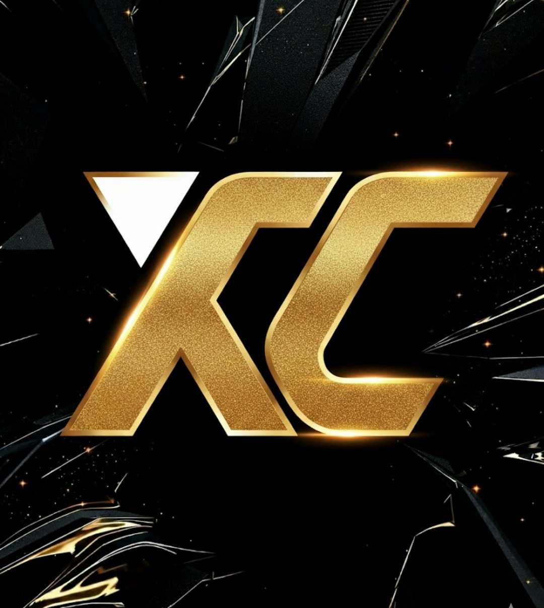 Knockout Cricket™