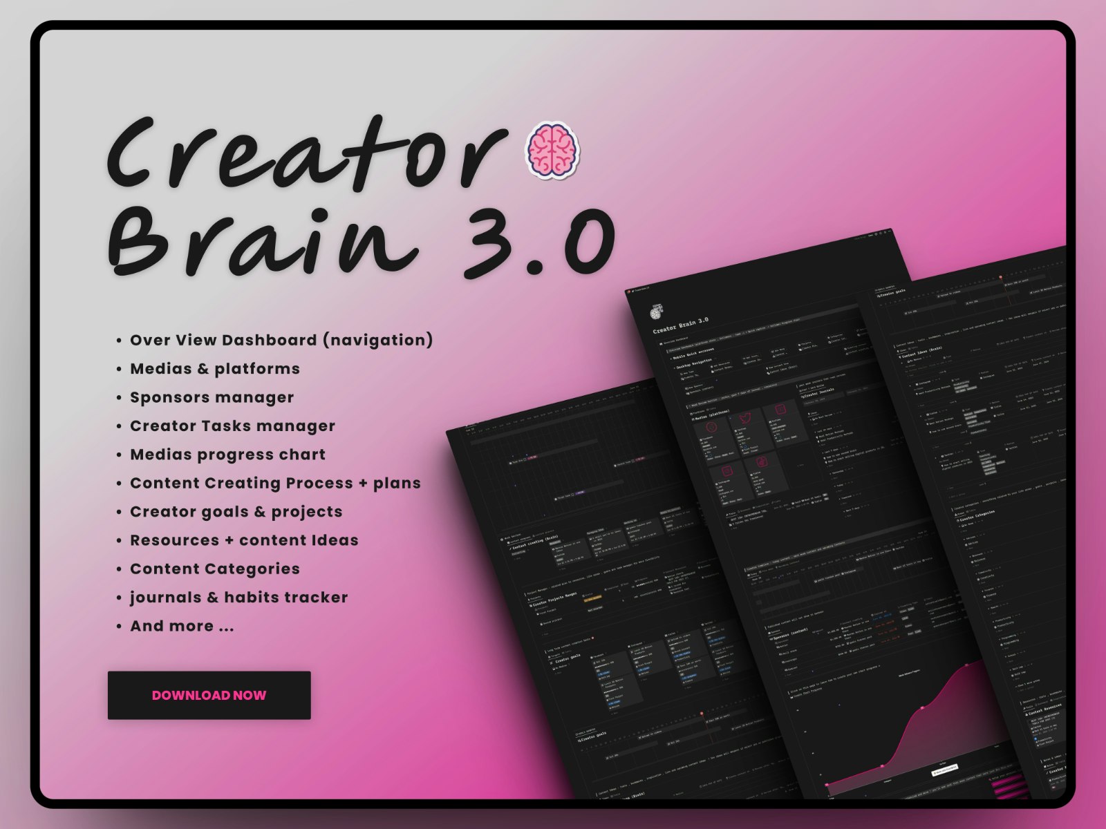 Ultimate Brains -bundel - Beheers je leven met de Ultimate Brains -bundel media 2