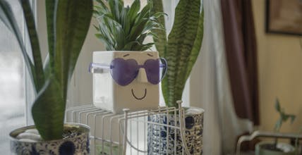 Face Plant Planter gallery image