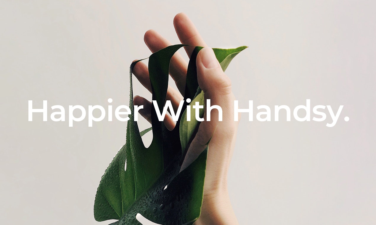 Handsy gallery image