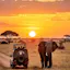 AfricaTravelGo