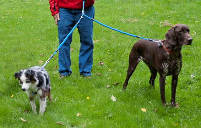 Xtreme Pet Product gallery image