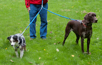 Xtreme Pet Product gallery image
