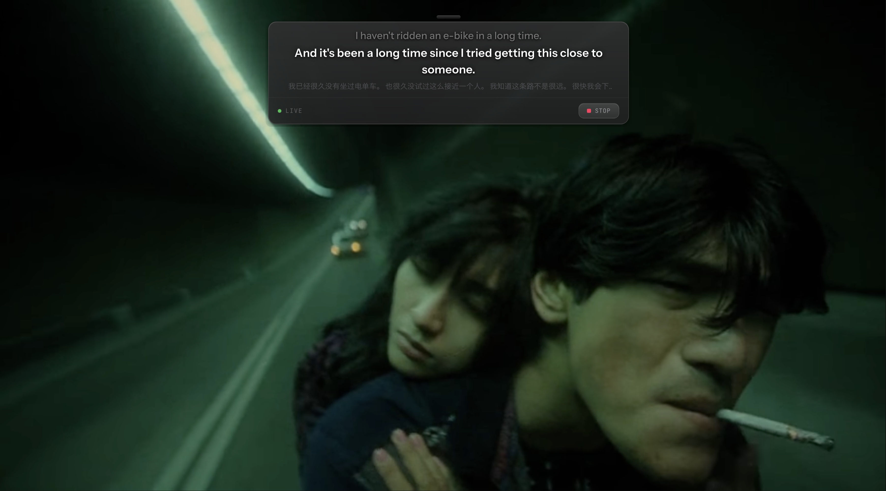 Seagull gallery image