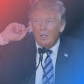 Talk to Trump