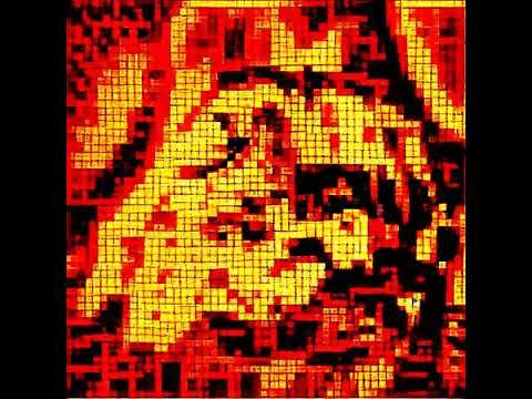 RariCats 1000 Video NFTs Collection gallery image