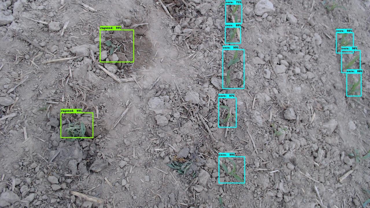 Diffgram gallery image