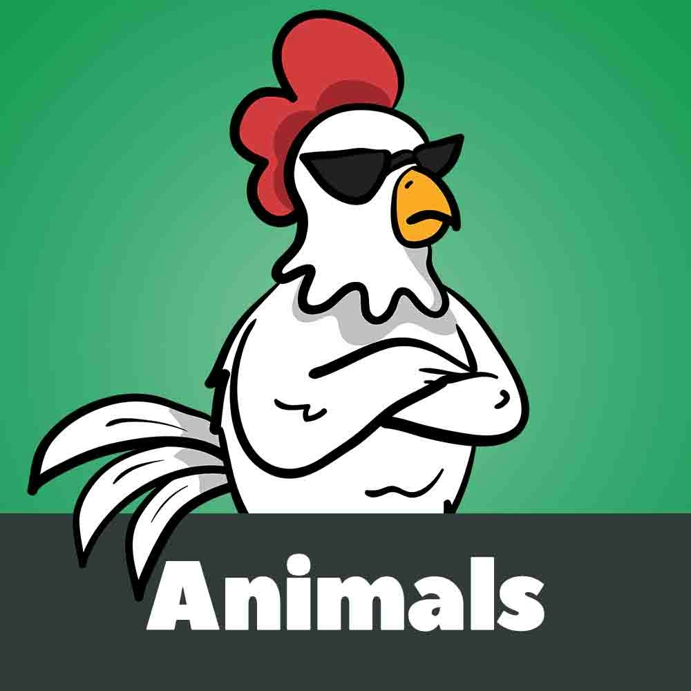 Penguin Graphics gallery image