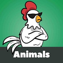 Penguin Graphics gallery image