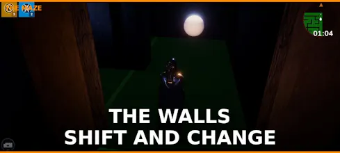 The Maze gallery image
