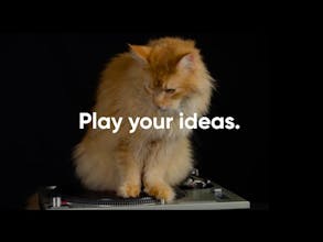 InVideo gallery image