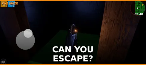The Maze gallery image