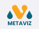 Metaviz gallery image