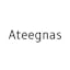 Ateegnas