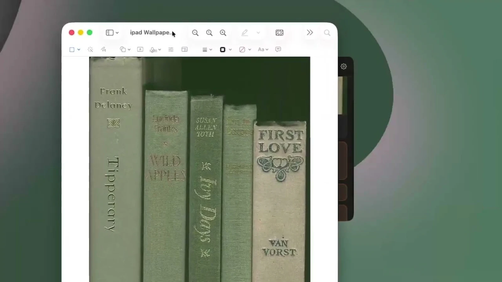 Screen Shelf screenshot 1 (video preview)