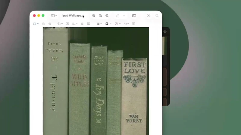 Screen Shelf screenshot 1 (video preview)