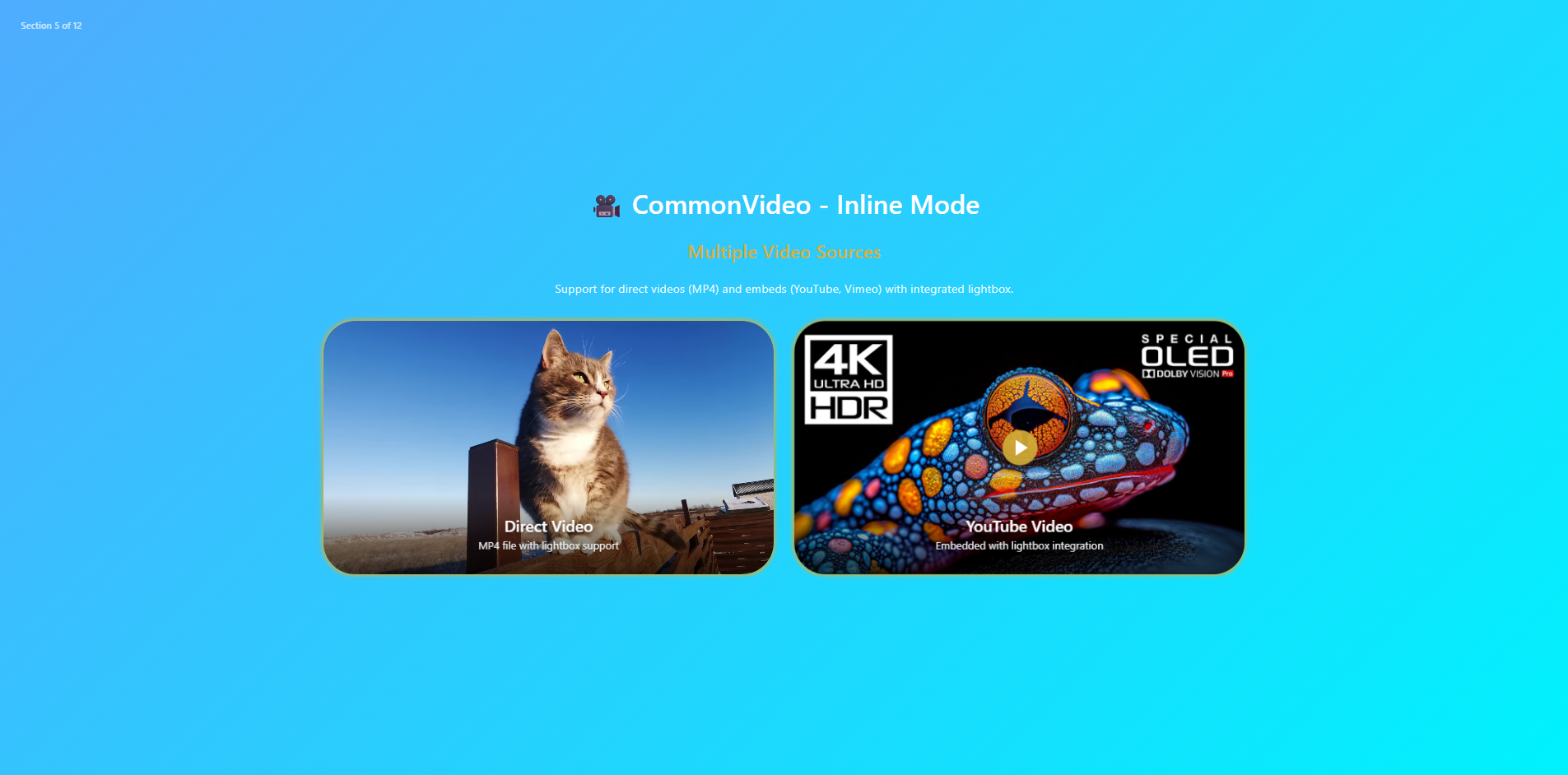 Astra Vitae gallery image