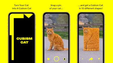 CUBISM CAT app gallery image