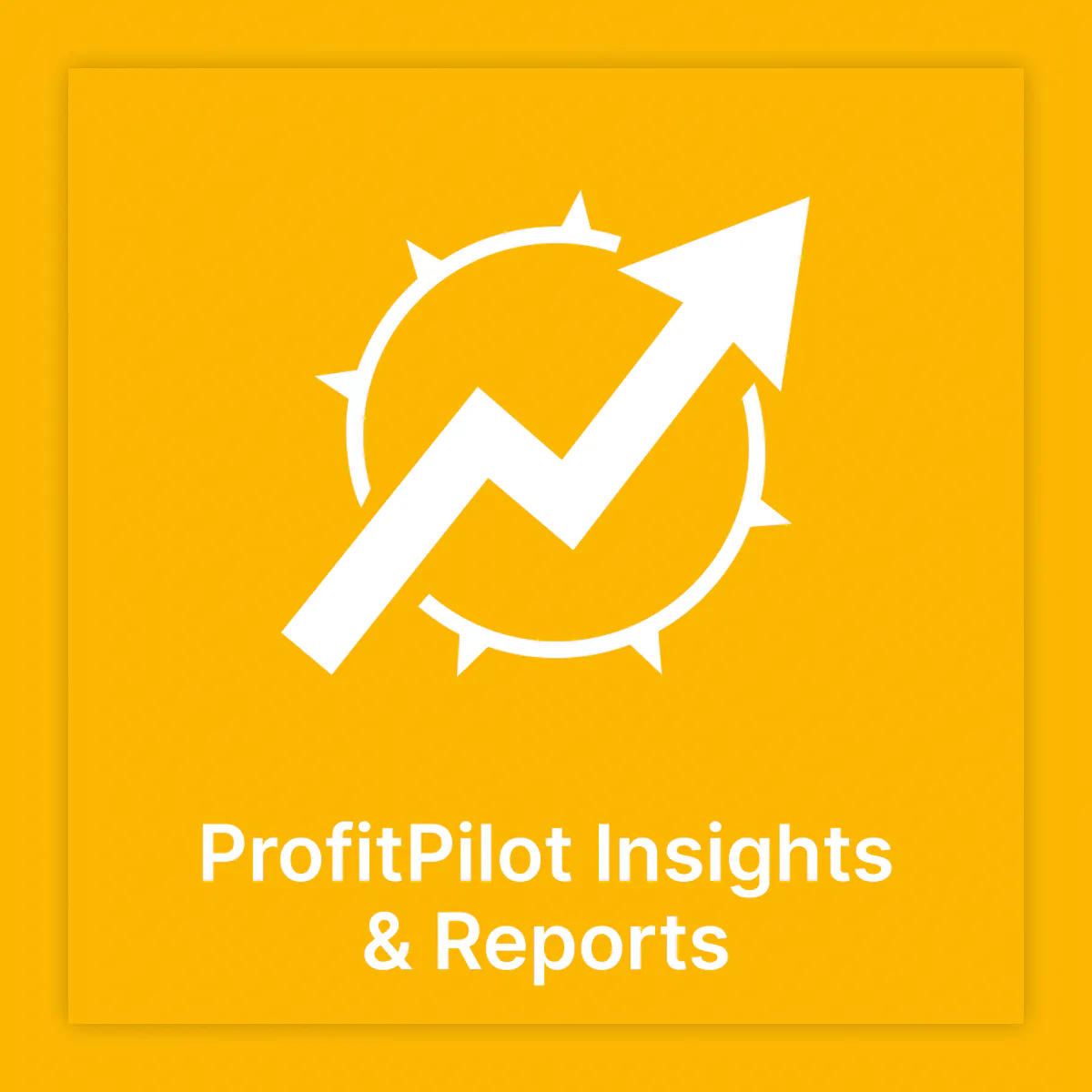 ProfitPilot Insights & Reports