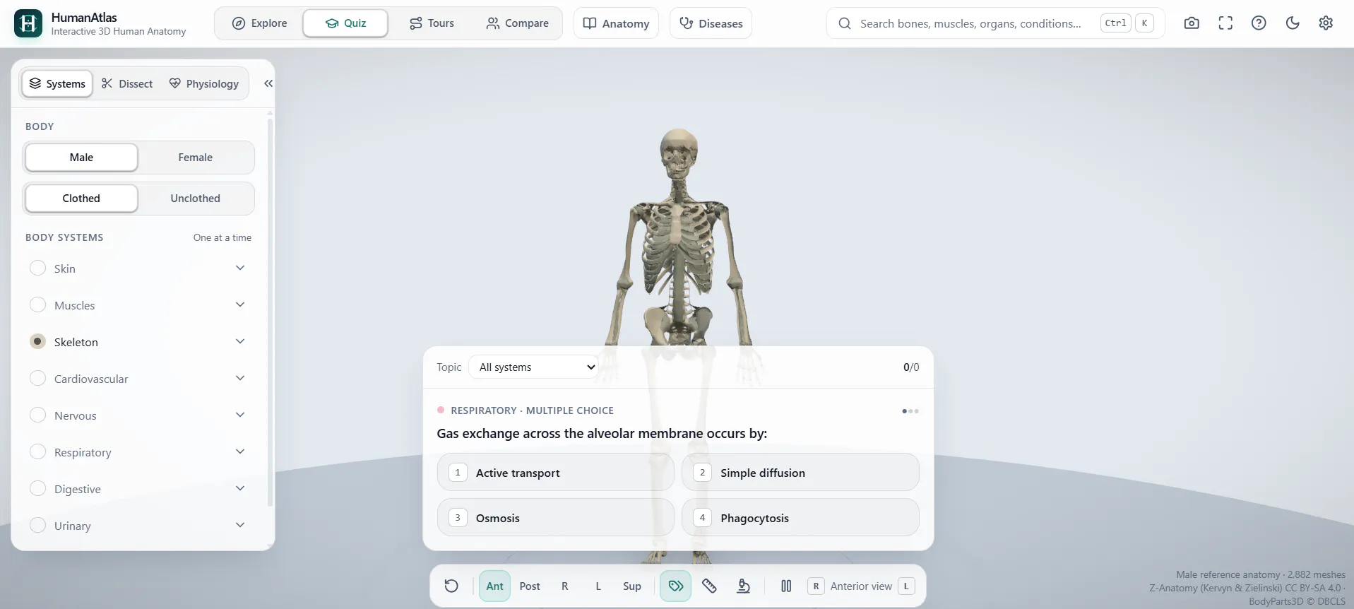 HumanAtlas gallery image