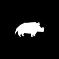 Boar