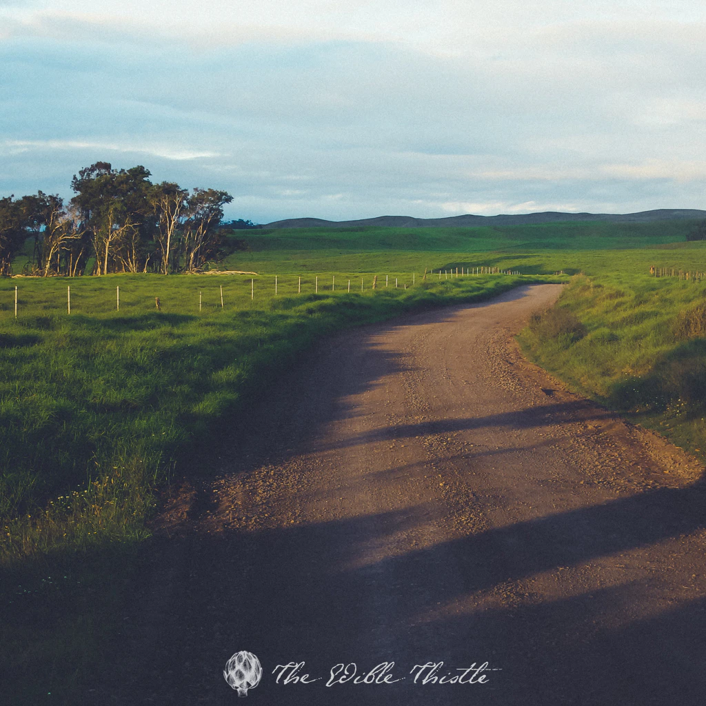 Darius A Monsef IV cover