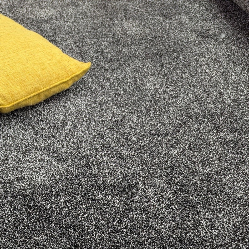 Carpets Online - Main product screenshot demonstrating key features and user interface