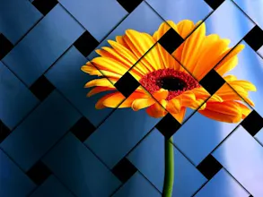 Magic Effect on Photos gallery image
