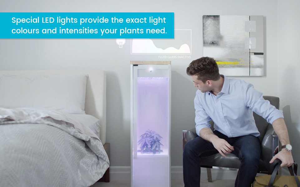 Grobo Smart Grow Box gallery image