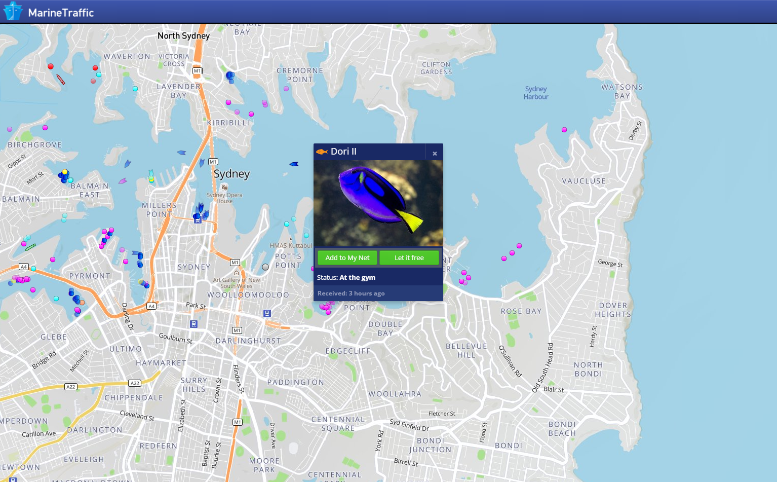 Marine Traffic - Product Information, Latest Updates, and Reviews 2025