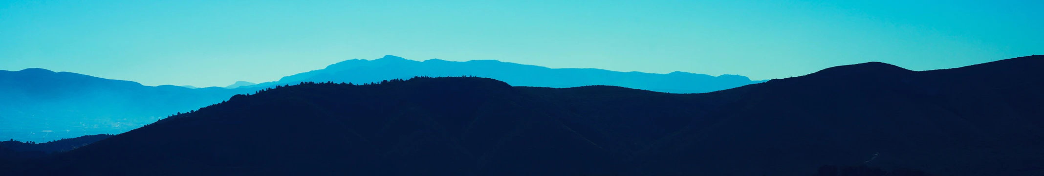 Roy van Rooijen cover