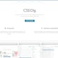 CSS Dig