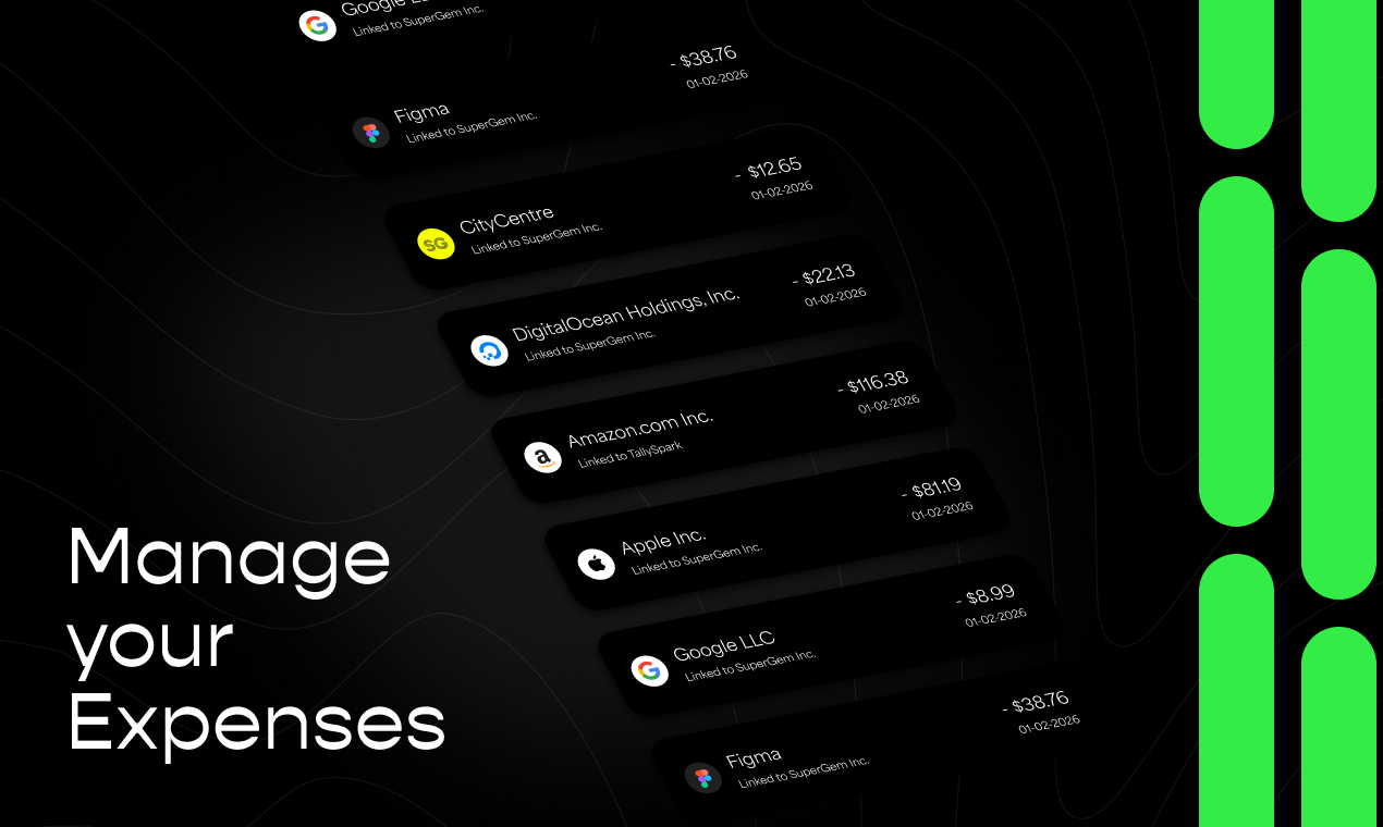 TallySpark - AI Powered Accounting - Screenshot 5 showing product features and functionality