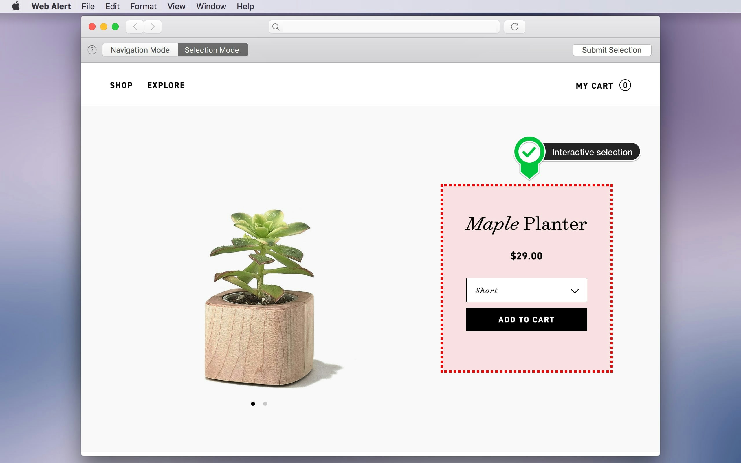 Web Alert gallery image