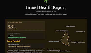 AI + Human Brand Audit - SMGH Consulting gallery image