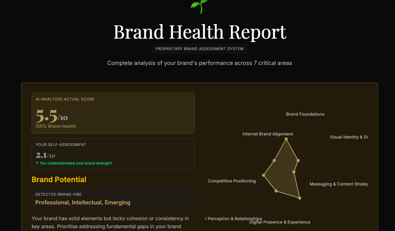 AI + Human Brand Audit - SMGH Consulting - Screenshot 2 showing product features and functionality