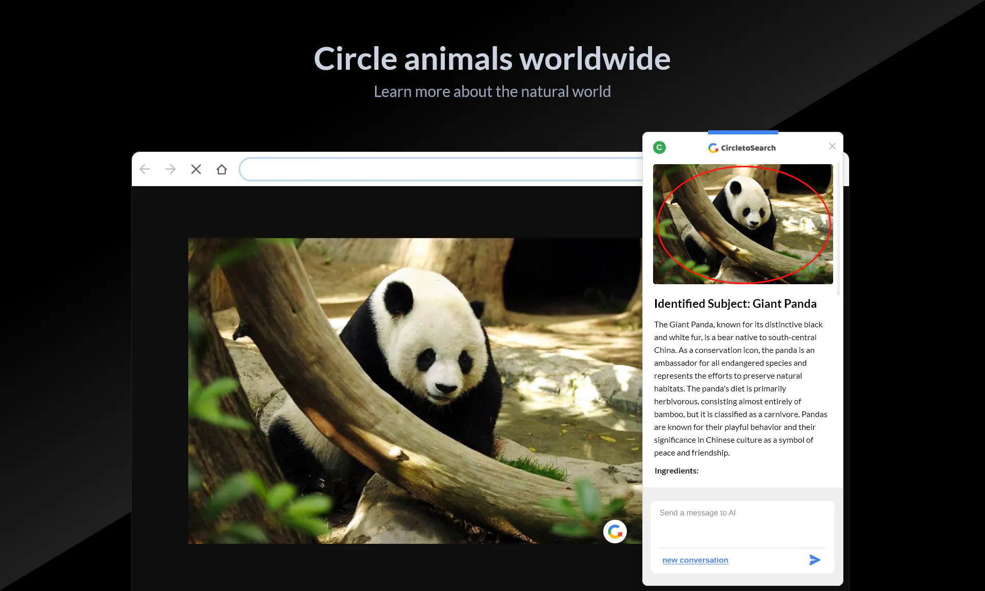 Circle to Search gallery image