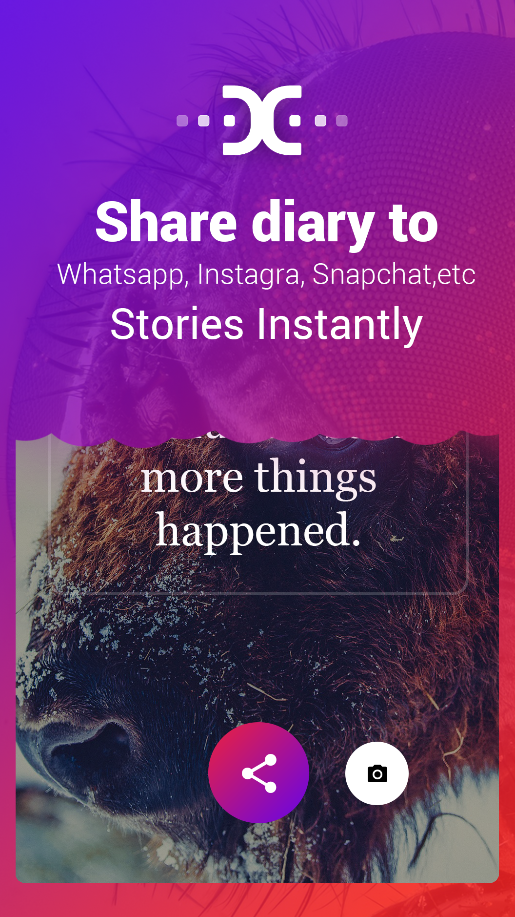 Dayday gallery image