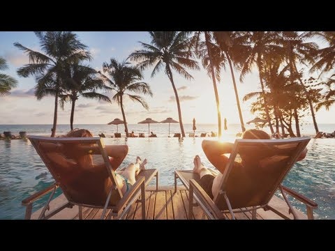 Popple gallery image