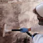 Mould Removal l Mould Removal Brisbane