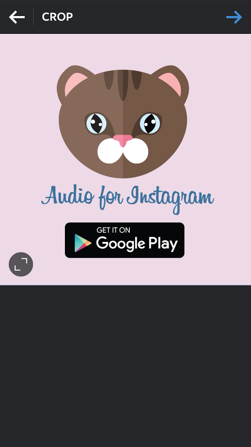 Audio for Instagram gallery image