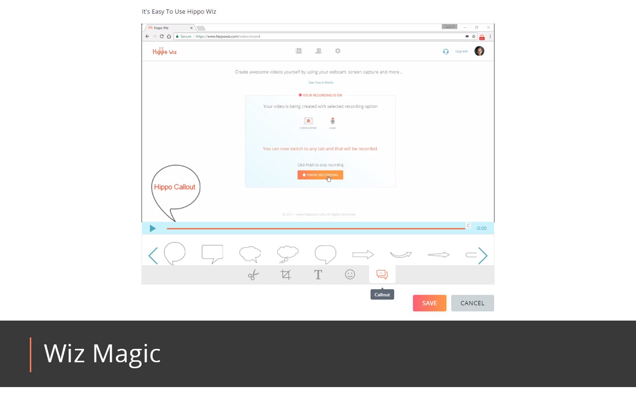 Hippo Wiz gallery image