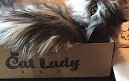 Cat Lady Box media 1