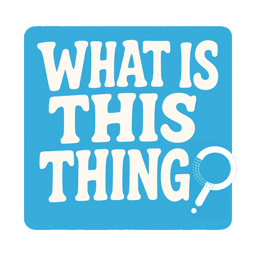 What Is This Thing? logo