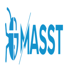 Bugsmirror Masst