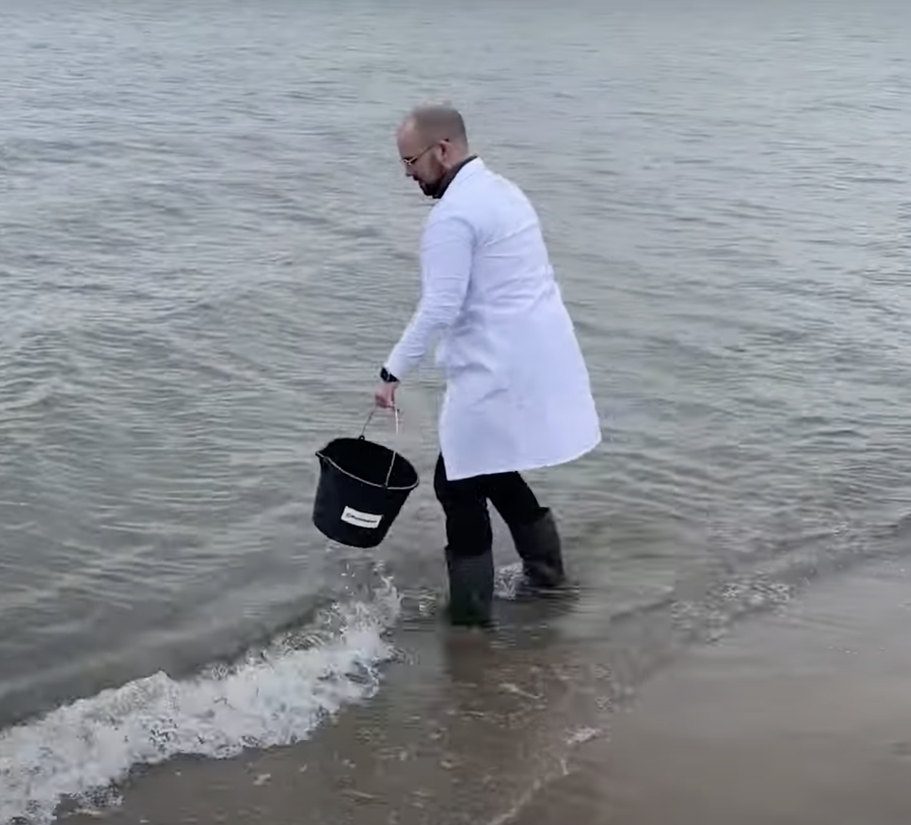 NanoseenX gallery image