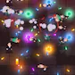 Shooting Stars