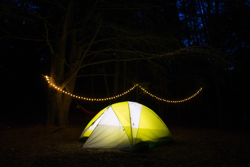 Ashwinn's Upstate Roaming Co. gallery image