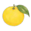 Free AI Photo Editor | YuzuTime AI