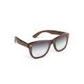 Halo Eclipse Spectacles